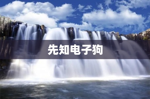 先知电子狗:为你的驾驶保驾护航 先知电子狗:为你的驾驶保驾护航