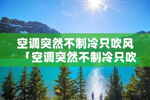 空调突然不制冷只吹风「空调突然不制冷只吹风外机不转」 空调突然不制冷只吹风「空调突然不制冷只吹风外机不转」