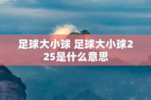 足球大小球 足球大小球225是什么意思 足球大小球 足球大小球225是什么意思