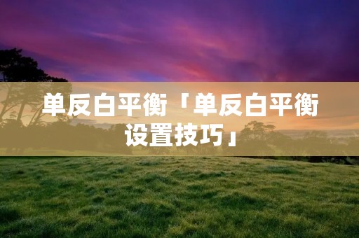 单反白平衡「单反白平衡设置技巧」