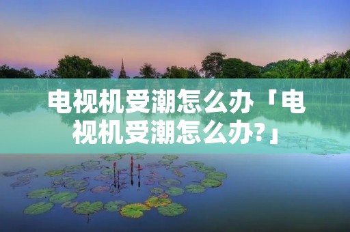电视机受潮怎么办「电视机受潮怎么办?」