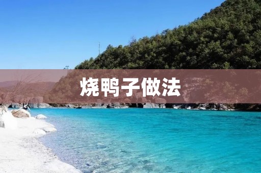 烧鸭子做法：传统美味，鲜香诱人