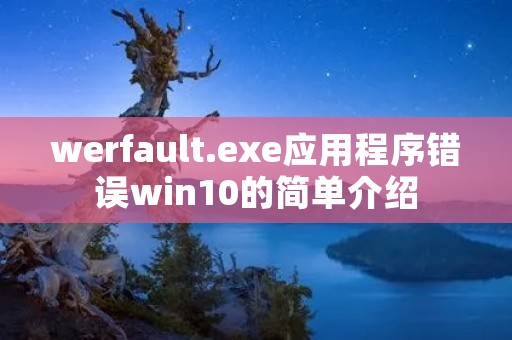 werfault.exe应用程序错误win10的简单介绍