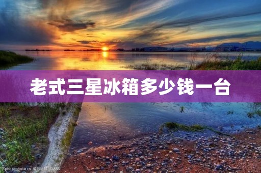 老式三星冰箱多少钱一台