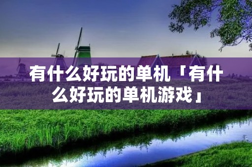 有什么好玩的单机「有什么好玩的单机游戏」