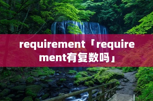 requirement「requirement有复数吗」