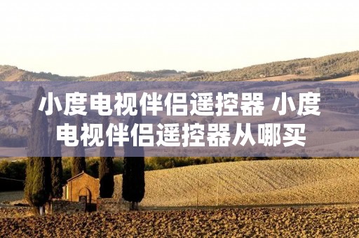小度电视伴侣遥控器 小度电视伴侣遥控器从哪买
