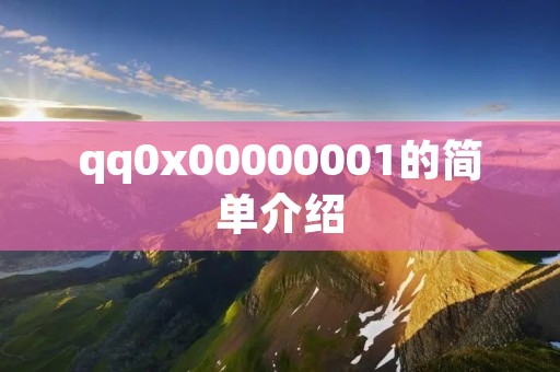 qq0x00000001的简单介绍