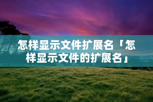 怎样显示文件扩展名「怎样显示文件的扩展名」