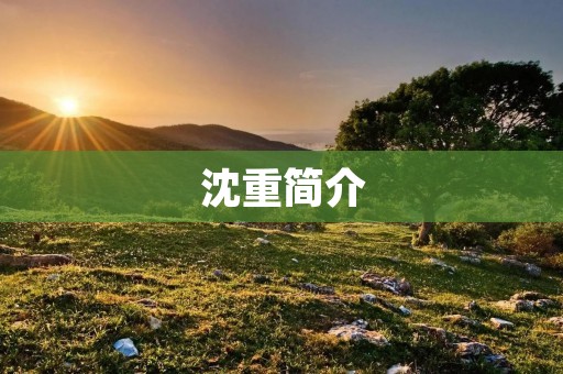 沈重简介:探索沈重情绪的深度与内涵