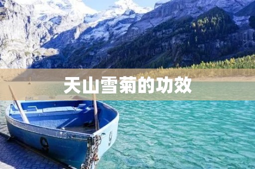 天山雪菊的功效