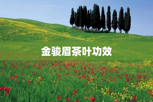 金骏眉茶叶功效：探寻这款神奇茶叶的健康益处