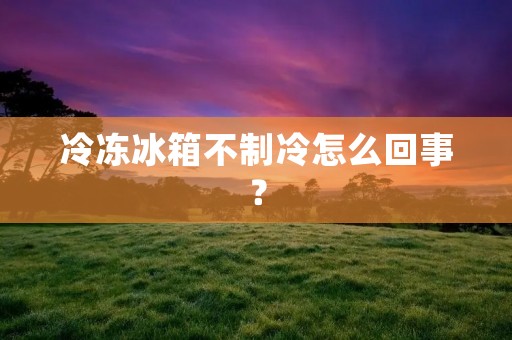 冷冻冰箱不制冷怎么回事? 冷冻冰箱不制冷怎么回事?