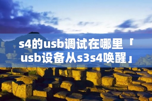 s4的usb调试在哪里「usb设备从s3s4唤醒」
