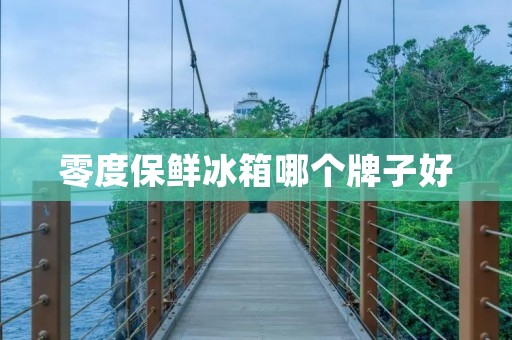 零度保鲜冰箱哪个牌子好 零度保鲜冰箱哪个牌子好