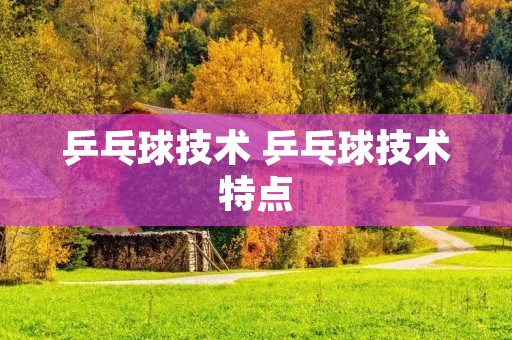 乒乓球技术 乒乓球技术特点
