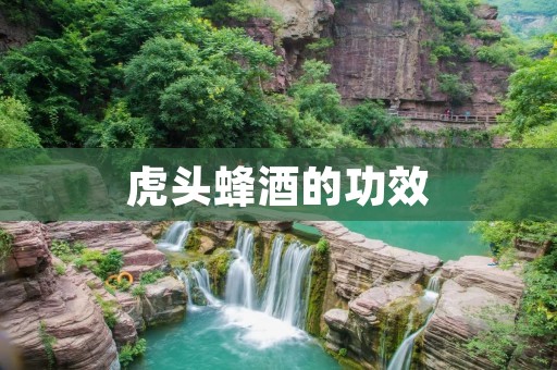 虎头蜂酒的功效：解毒祛湿，增强免疫力，提高性功能