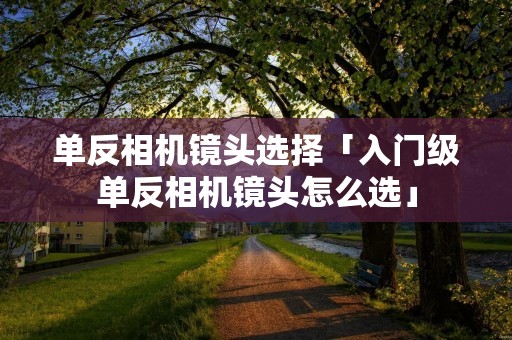 单反相机镜头选择「入门级单反相机镜头怎么选」