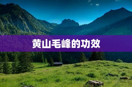 黄山毛峰的功效