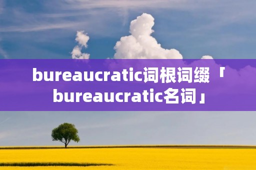 bureaucratic词根词缀「bureaucratic名词」