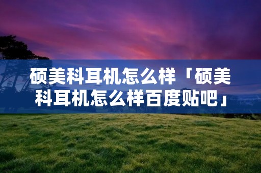 硕美科耳机怎么样「硕美科耳机怎么样百度贴吧」