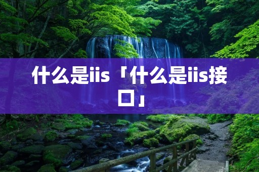 什么是iis「什么是iis接口」 什么是iis「什么是iis接口」