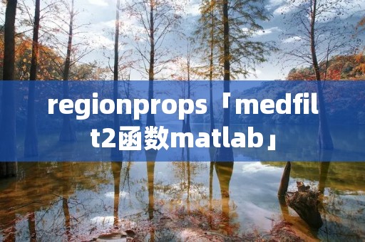 regionprops「medfilt2函数matlab」 regionprops「medfilt2函数matlab」