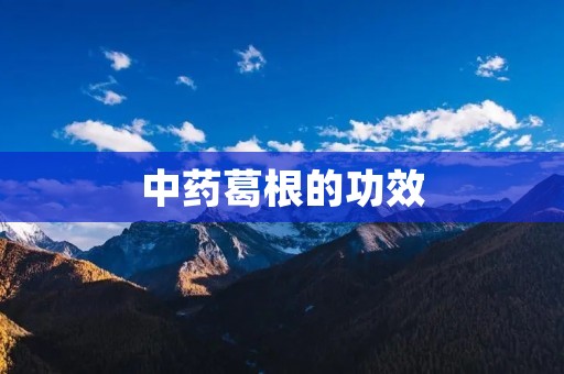 中药葛根的功效