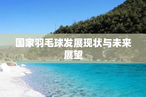国家羽毛球发展现状与未来展望