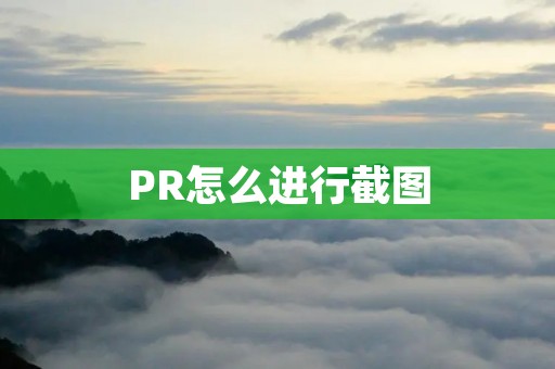 PR怎么进行截图