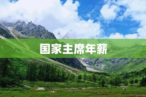 国家主席年薪：薪酬背后的权力与责任