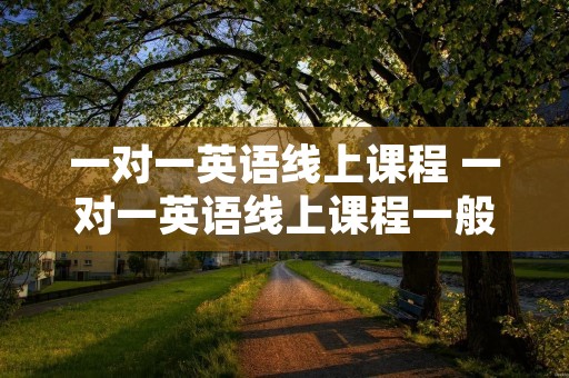 一对一英语线上课程 一对一英语线上课程一般收费标准