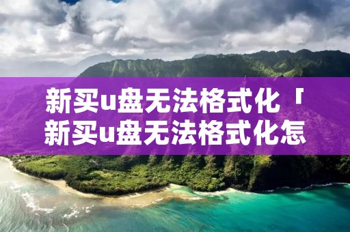 新买u盘无法格式化「新买u盘无法格式化怎么办」 新买u盘无法格式化「新买u盘无法格式化怎么办」