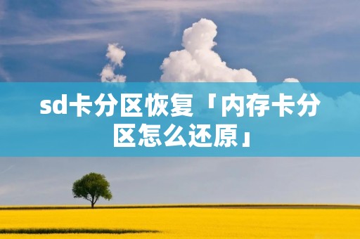 sd卡分区恢复「内存卡分区怎么还原」