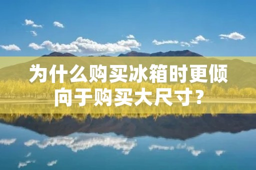 为什么购买冰箱时更倾向于购买大尺寸? 为什么购买冰箱时更倾向于购买大尺寸?
