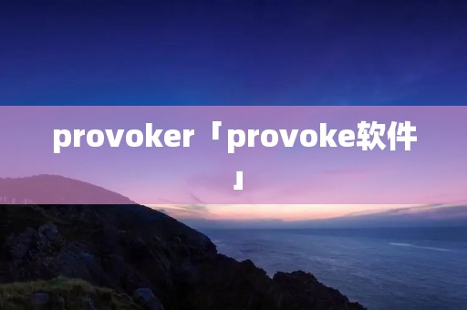 provoker「provoke软件」