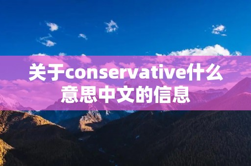 关于conservative什么意思中文的信息