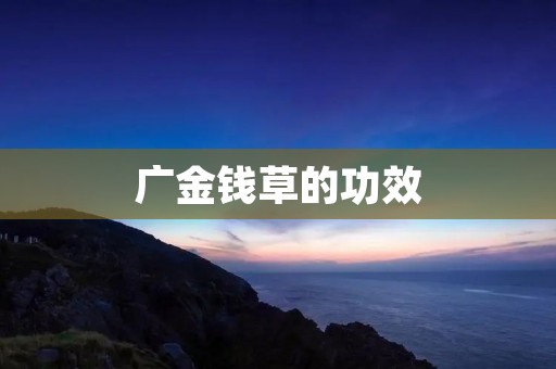 广金钱草的功效