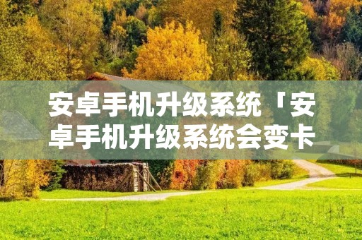 安卓手机升级系统「安卓手机升级系统会变卡吗」