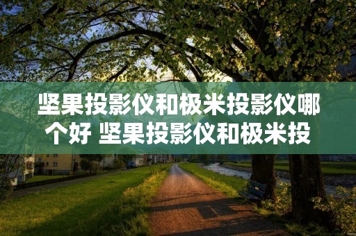 坚果投影仪和极米投影仪哪个好 坚果投影仪和极米投影仪哪个更好