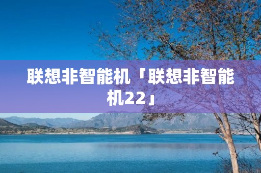 联想非智能机「联想非智能机22」