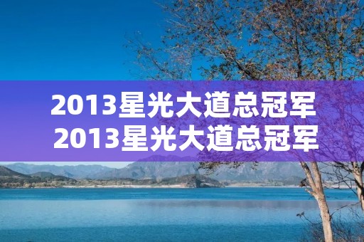 2013星光大道总冠军 2013星光大道总冠军美娜简历