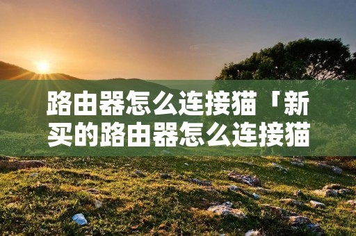 路由器怎么连接猫「新买的路由器怎么连接猫」 路由器怎么连接猫「新买的路由器怎么连接猫」