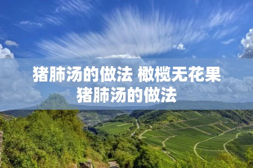 猪肺汤的做法 橄榄无花果猪肺汤的做法