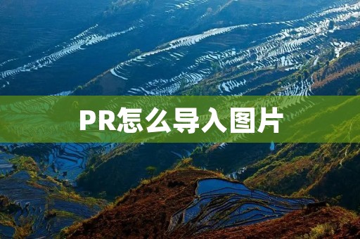 PR怎么导入图片