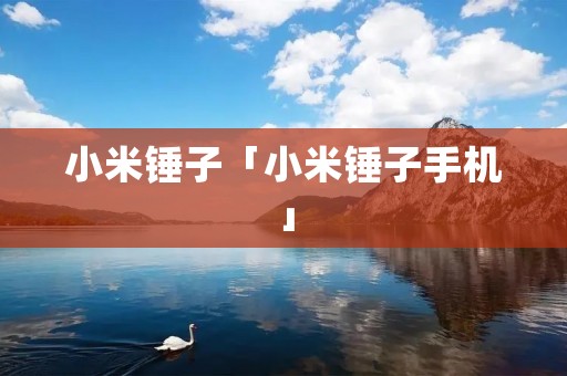 小米锤子「小米锤子手机」
