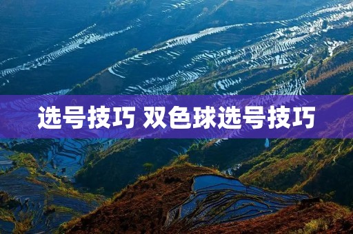 选号技巧 双色球选号技巧 选号技巧 双色球选号技巧