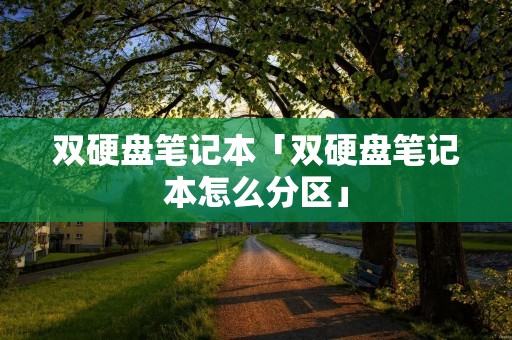 双硬盘笔记本「双硬盘笔记本怎么分区」 双硬盘笔记本「双硬盘笔记本怎么分区」
