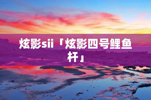炫影sii「炫影四号鲤鱼杆」