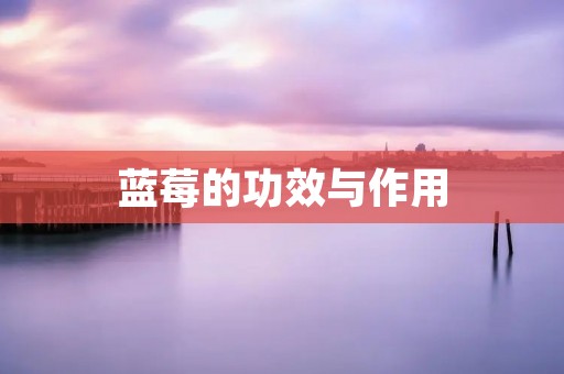 蓝莓的功效与作用:探寻这种小小水果的健康奇迹